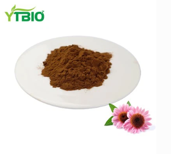 Echinacea purpurea extract powder